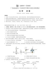广西邕衡教育名校联盟2026届高三上学期9月联合调研测试 化学 PDF版含答案