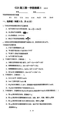 2025北京清华附中高三（上）统练一化学试卷   有答案