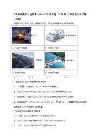 广东省东莞市七校联考2024~2025学年高二上学期12月月考化学试题（含答案）