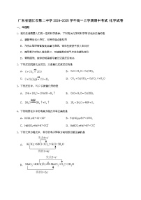 广东湛江市第二中学2024~2025学年高一上学期期中考试化学试题（含答案）
