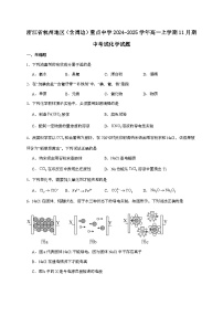 浙江省杭州地区（含周边）重点中学2024~2025学年高一上学期期中考试化学试题（含答案）
