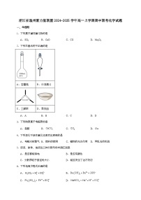 浙江省温州市新力量联盟2024~2025学年高一上学期期中联考化学试题（含答案）