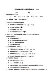 北京市清华大学附属中学2025～2026学年高三上统练1月考化学试卷(含答案)