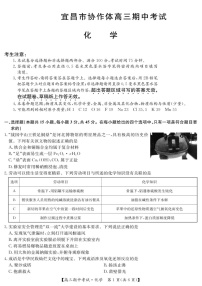 2025届湖北省九师联盟宜昌协作体高三下学期11月考-化学试题（含答案）
