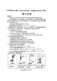 2025届山东省烟台市高三下学期11月期中学诊断检测-化学试卷（含答案）