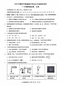 2025届重庆市康德卷高三下学期11月调研-化学试卷（含答案）
