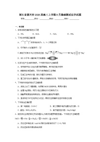 2025-2026学年浙江省嘉兴市高三上学期9月基础测试化学试题（附答案解析）
