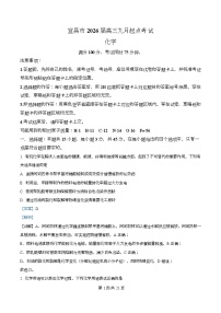 2026宜昌高三上学期9月起点考试化学试题含解析
