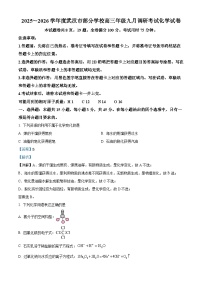 湖北省武汉市2026届高三上学期9月调研化学试题（Word版附解析）