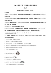 陕西省十七校联考2025届高三上学期11月期中考-化学试题（含答案）