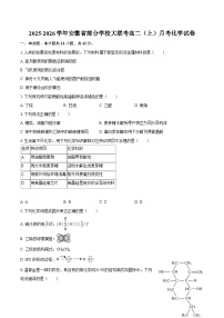 2025-2026学年安徽省部分学校大联考高二（上）月考化学试卷-自定义类型