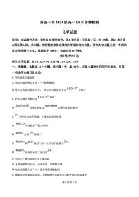 山东省济南市济南一中2024-2025学年高一化学上学期10月份月考试题及其答案解析