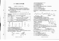 四川省金太阳2025届高三上学期12月联考-化学试卷（含答案）