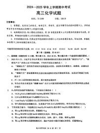 湖北省2024-2025学年高三上学期期中考试化学试卷