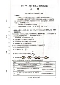 广西南宁市金太阳2025届高三上学期1月第一次模考-化学试题（含答案）