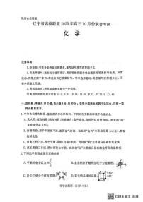 辽宁省名校联盟2026届高三上学期10月联考化学试题（PDF版，含答案）