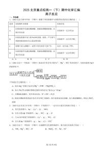2025北京重点校高一（下）期中化学汇编：离子反应