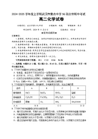 湖北省武汉市重点中学5G联合体2024-2025学年高二上学期期中考试+化学试题
