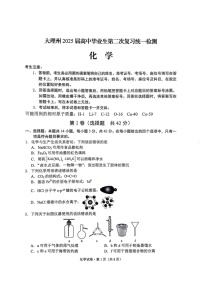 云南省大理州2025届高三上学期第二次复习统一检测化学试题（含答案）