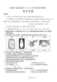 重庆市好教育联盟2026届高三上学期10月联考卷化学（PDF版，含答案）