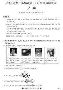 2026届高三上学期华师联盟10月质量检测考试化学试题（含答案）