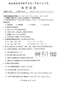 湖北省武汉市武昌实验中学2025-2026学年高一上学期10月考化学试卷