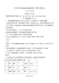 四川省资阳市安岳中学2024-2025学年高一上学期期中考试化学（强基班）试题（Word版附解析）