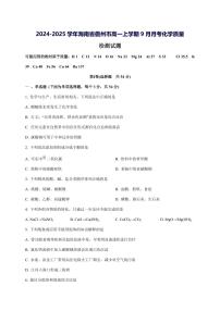 2024_2025学年海南省儋州市高一（上）9月月考化学试题【解析】