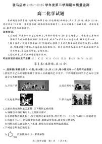 河南省驻马店市2024-2025学年高二下学期期末质量检测化学试题（含答案）