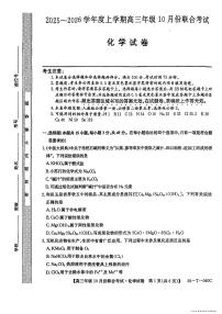2025年060C高三上学期10月化学试题无答案