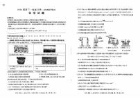 山东百师联盟2026届高三上学期第一次调研考试化学试题（含答案）