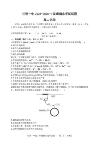 甘肃省兰州第一中学2024-2025学年高二上学期期末考试化学试卷（含答案）