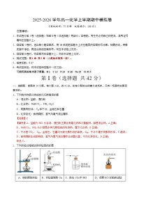 2025-2026学年高一化学上学期期中模拟卷02（新高考通用，14+4）