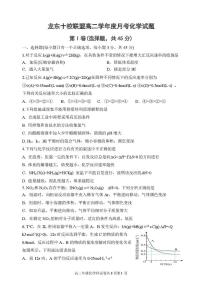 黑龙江省龙东十校联盟2025-2026学年高二上学期10月月考化学试题（PDF版附答案）