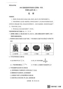 河南省青桐鸣大联考2025年6月高二下学期月考化学试卷+答案