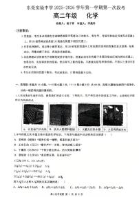 广东省东莞实验中学2025-2026学年高二上学期10月月考 化学试题