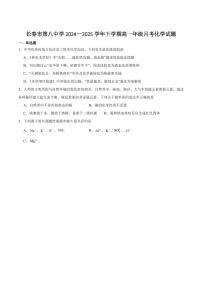 吉林省长春市第八中学2024-2025学年高一下学期4月月考化学试卷（含答案）