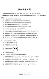 湖北省重点高中智学联盟2024-2025学年高一下学期5月联考化学试卷+答案