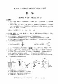 贵州省遵义市2026届高三上学期一模化学试题（月考）