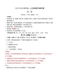 2025年高一化学上学期期中模拟卷01（含答案解析） (鲁科版)