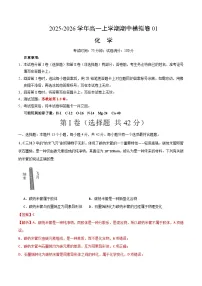2025年高一化学上学期期中模拟卷01（含答案解析）（苏教版）