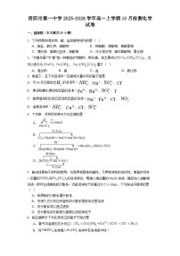 贵阳市第一中学2025-2026学年高一上学期10月检测化学试卷