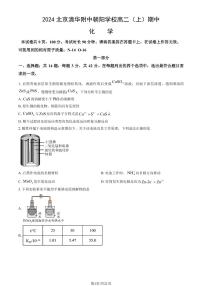 2024北京清华附中朝阳学校高二（上）期中化学试卷   有答案