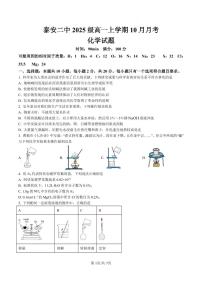 山东省泰安第二中学2025-2026学年高一上学期10月月考化学试卷
