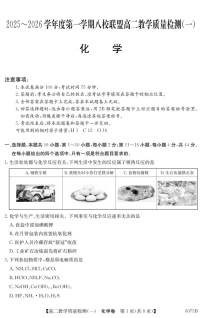 广东省八校联考2025-2026学年高二上学期10月考试化学试卷