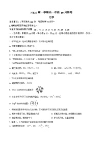 河北省NT20名校联考2025-2026学年高一上学期10月考试化学试卷