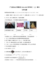 广东省汕头市潮阳区2024-2025学年高二（上）期末化学试卷（含答案）