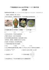 广东省清远市2024-2025学年高一上学期期末考试化学试卷（含答案）