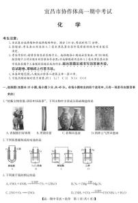 湖北省宜昌市协作体2024-2025学年高一下学期期中化学试卷（含答案）