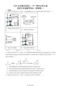 2025北京重点校高二（下）期中化学汇编：烃的衍生物章节综合（选择题）1